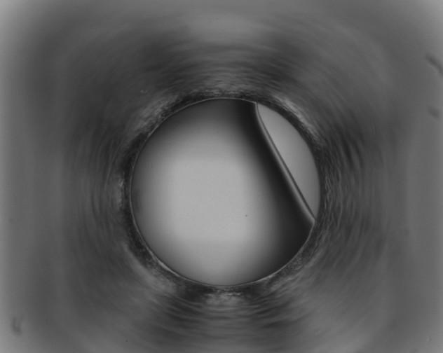 X0000091980451200709061156