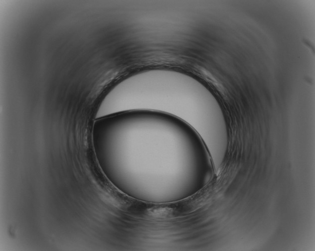 X0000091980452200709061156