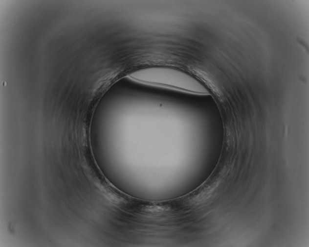 X0000091980453200709061156