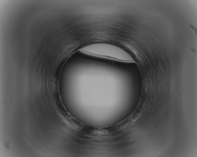 X0000091980455200709061156