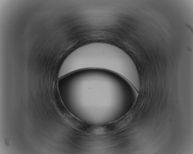 X0000091980456200709061156