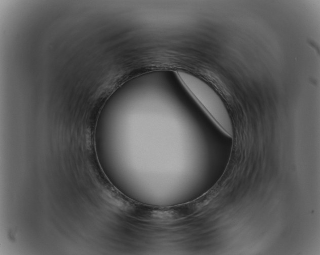 X0000091980457200709061156