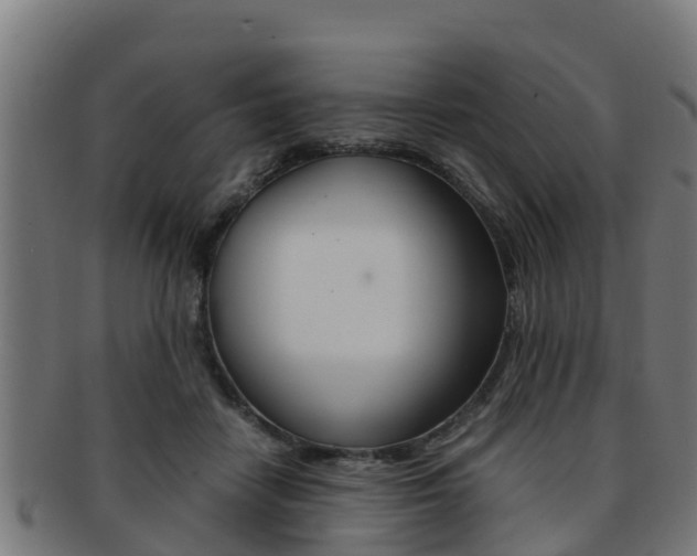 X0000091980458200709061156