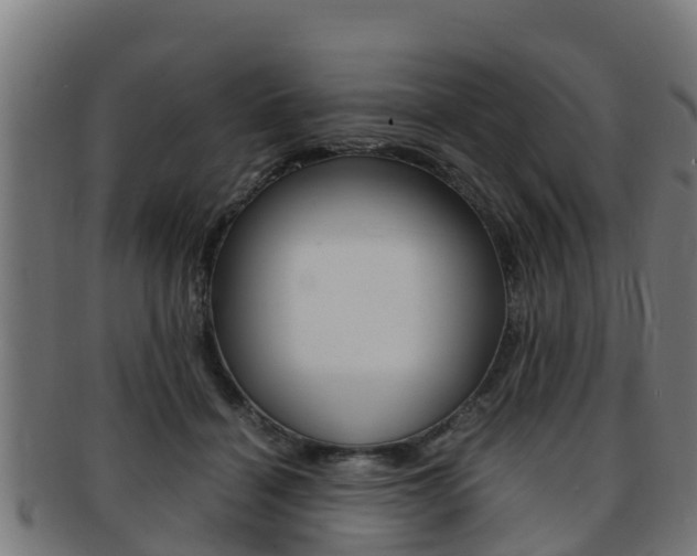 X0000091980460200709061156
