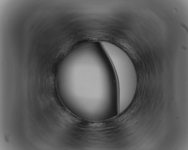 X0000091980461200709061156