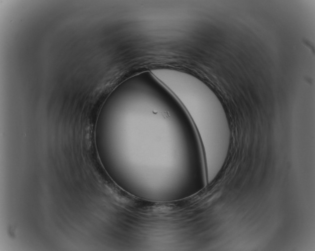 X0000091980462200709061156