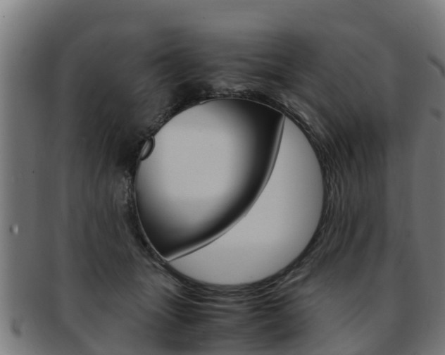 X0000091980463200709061156