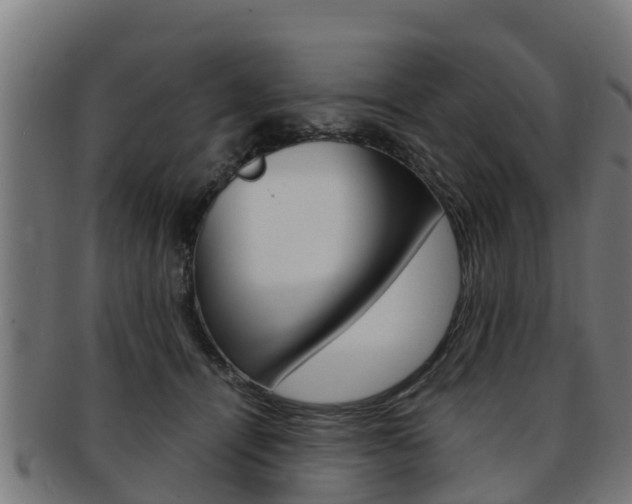 X0000091980464200709061156