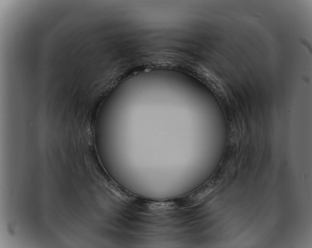 X0000091980465200709061156