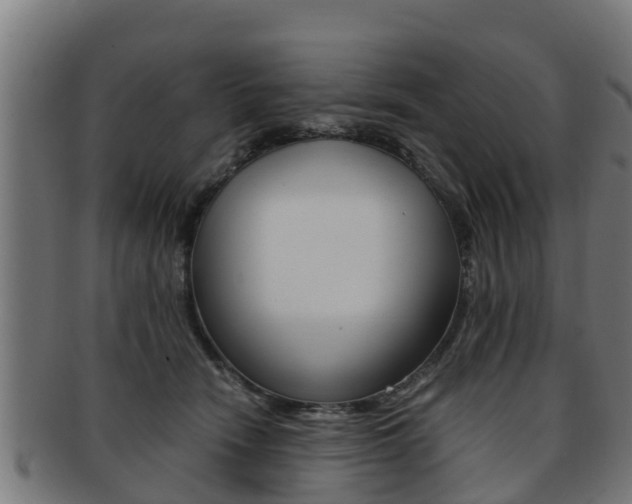 X0000091980466200709061156