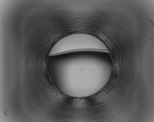 X0000091980469200709061156