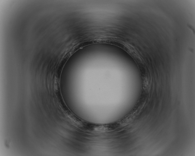X0000091980470200709061156