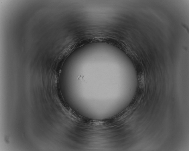 X0000091980472200709061156
