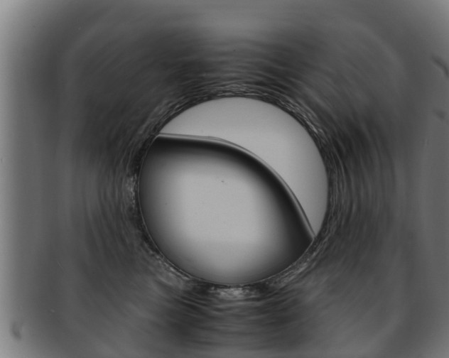 X0000091980473200709061156
