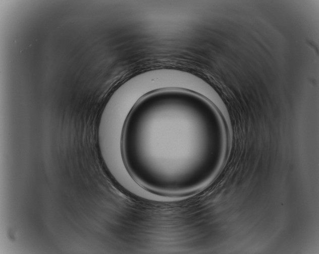 X0000091980474200709061156