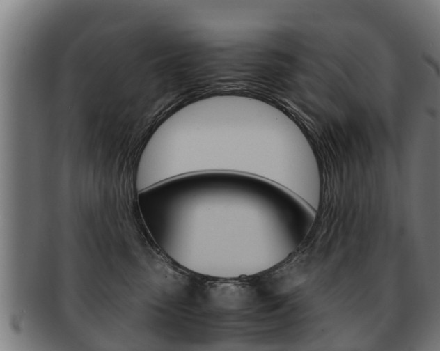 X0000091980475200709061156