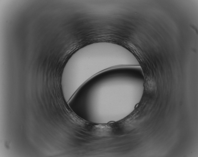 X0000091980477200709061156