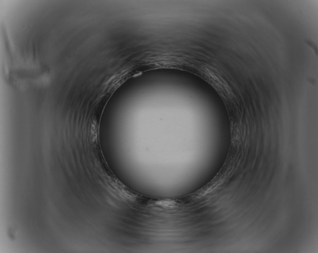X0000091980478200709061156