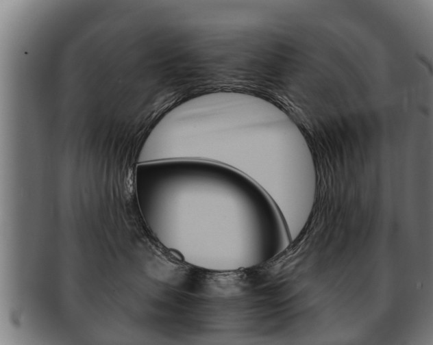 X0000091980479200709061156