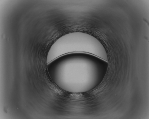 X0000091980480200709061156