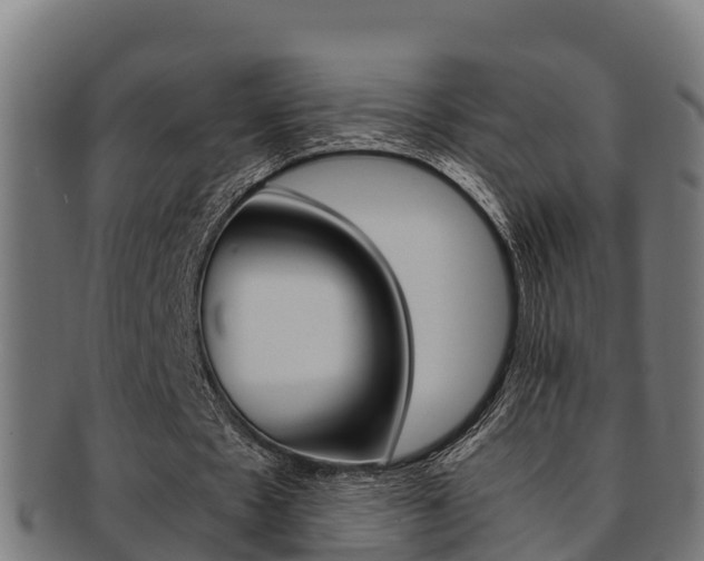 X0000091980481200709061155