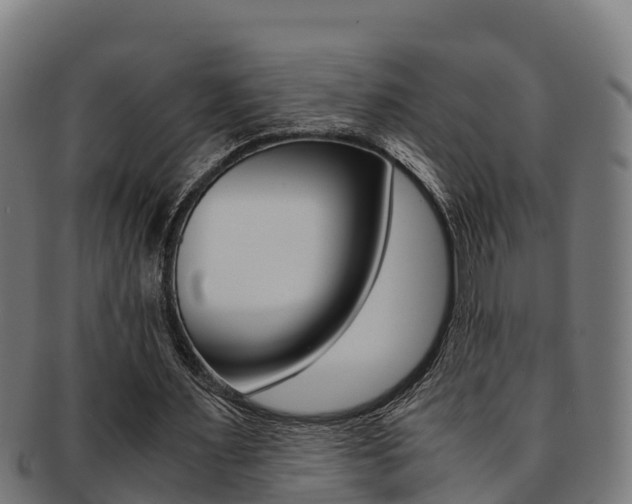 X0000091980483200709061155
