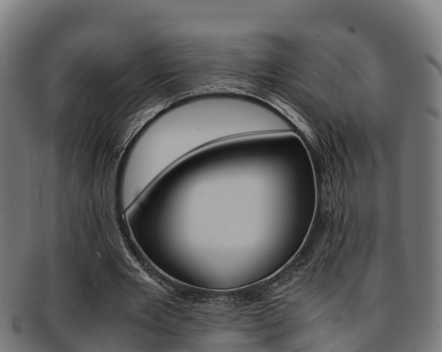 X0000091980485200709061155