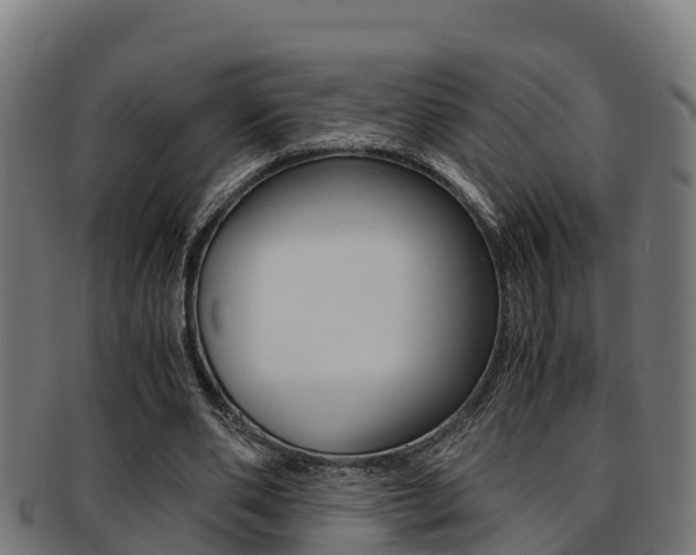 X0000091980486200709061155