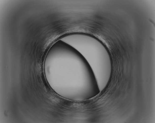 X0000091980487200709061155