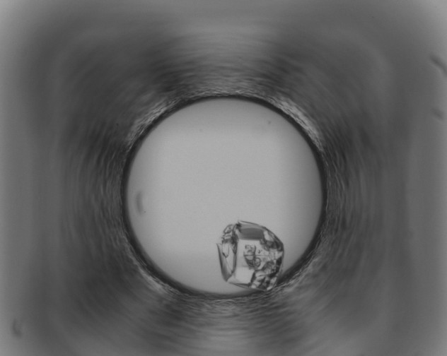 X0000091980489200709061155