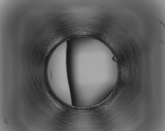 X0000091980490200709061155