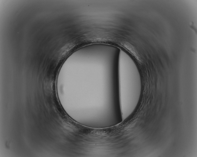 X0000091980491200709061155