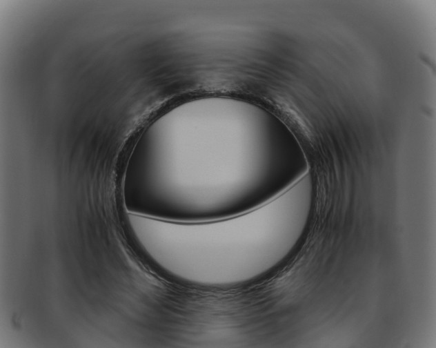 X0000091980492200709061155