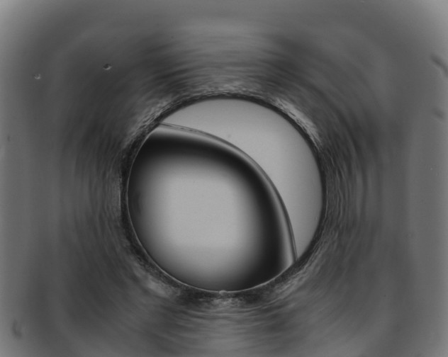 X0000091980493200709061155