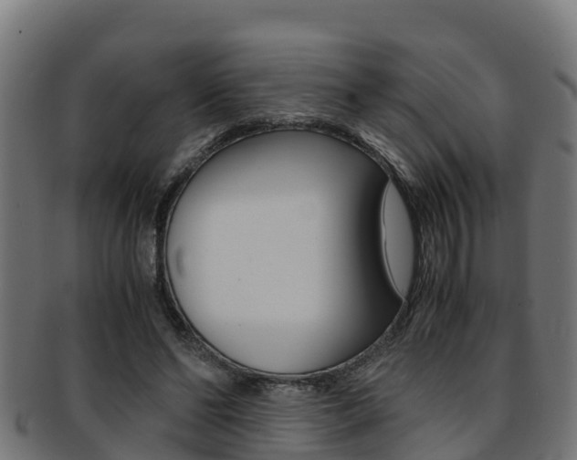 X0000091980494200709061155
