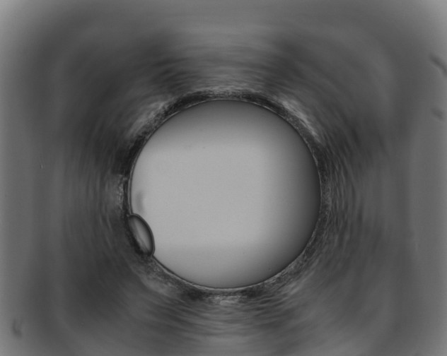 X0000091980495200709061155