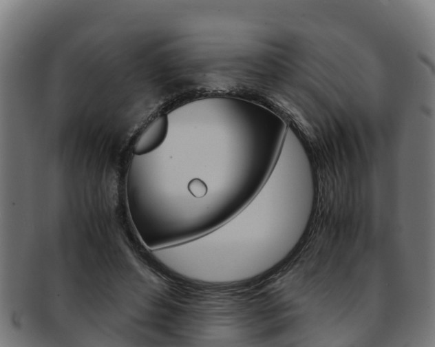 X0000091980496200709061155