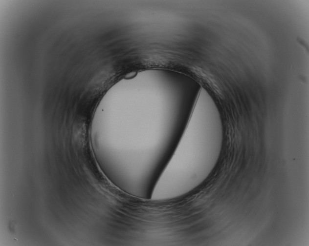 X0000091980498200709061155