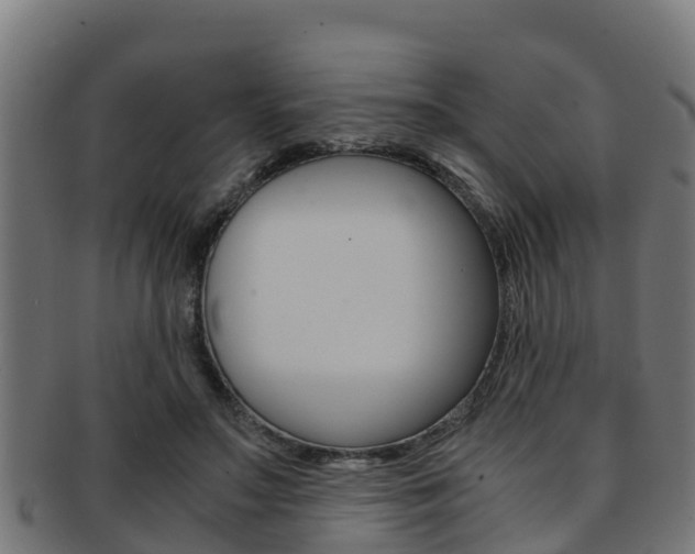 X0000091980499200709061155