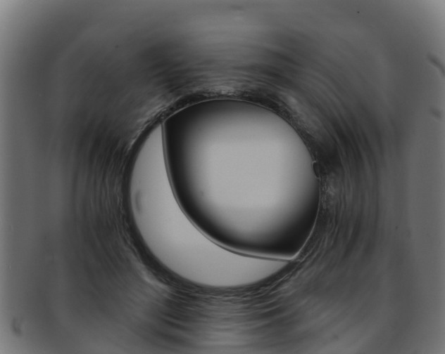 X0000091980500200709061155
