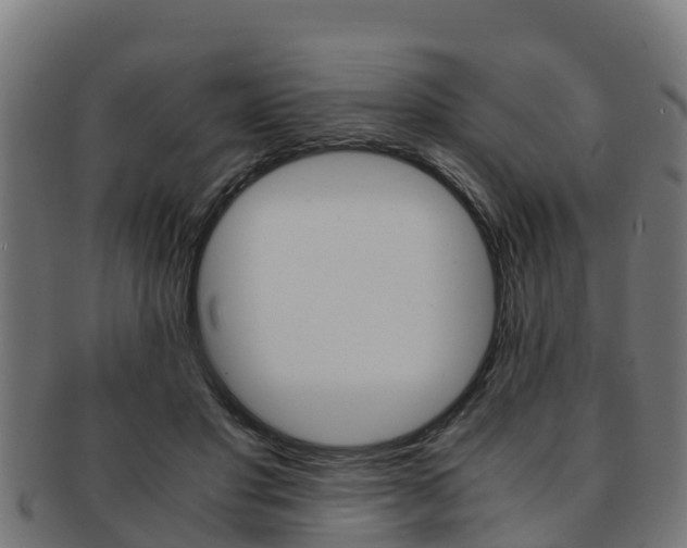 X0000091980501200709061155