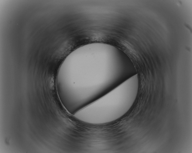 X0000091980502200709061155