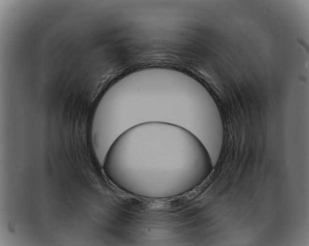 X0000091980504200709061155