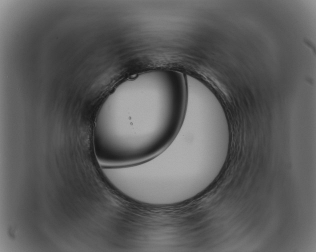 X0000091980505200709061155