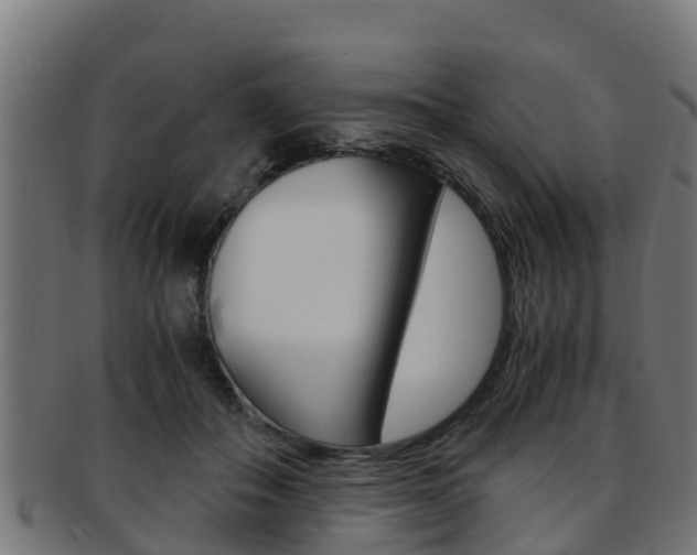 X0000091980506200709061155
