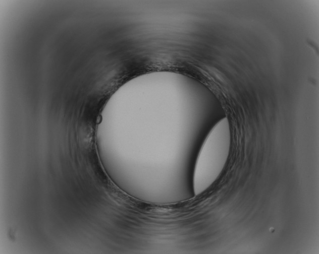 X0000091980507200709061155