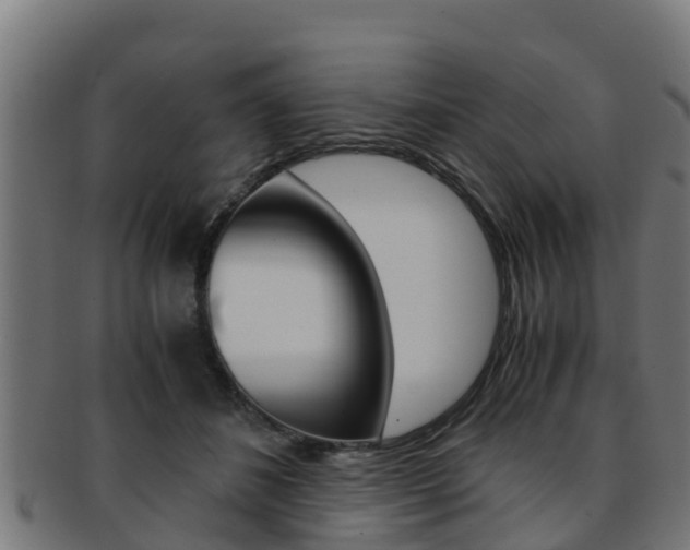X0000091980508200709061155