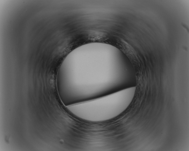 X0000091980510200709061155