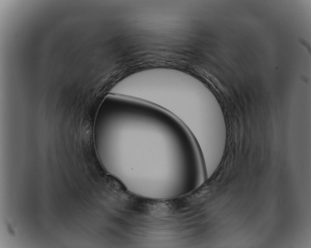 X0000091980513200709061155
