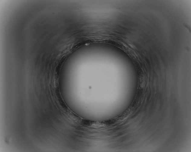 X0000091980515200709061155